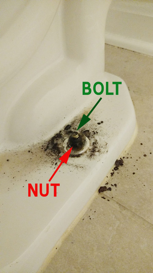 how to install toilet bolts