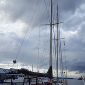 Curt Meyer's photo