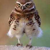 Dasha Oliynik's photo