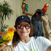 RéDa Moustafa's photo