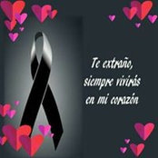 Rafael Torres's photo