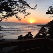 Carrie Halsey's photo
