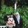 Menna Attia