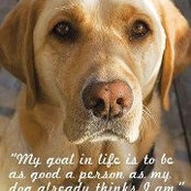 Alisa Hartman's photo