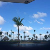 Dot Harrigan's photo