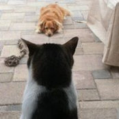 Pam Naber's photo