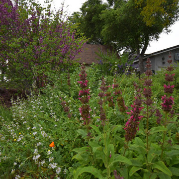La Cañada Flintridge Resilient Homestead