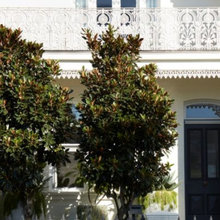 Balmain Terrace House