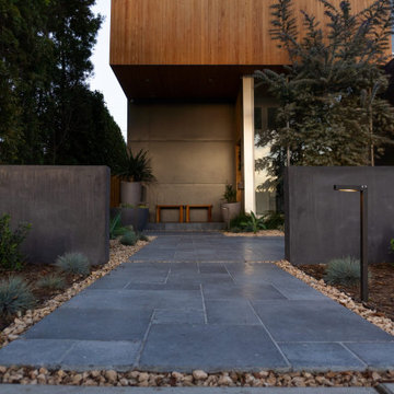 Featured Projects