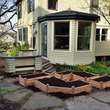 Backyard 2023