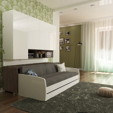 Compact Twin XL Sofa bed and Cabinets Wall System