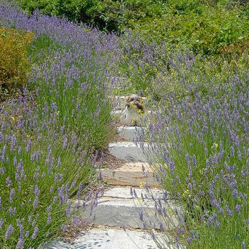 Reclaimed Granite Stairwell, Chatham MA