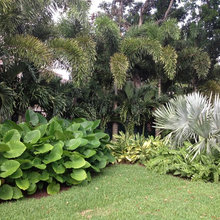 Landscaping