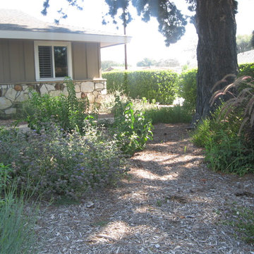 Earth Friendly Santa Ana Garden