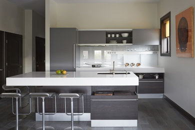 Trendy kitchen photo in Chicago