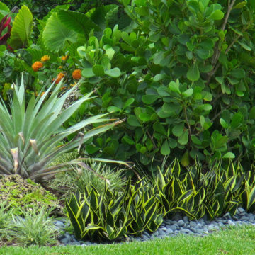 South Florida Landscaping Ideas