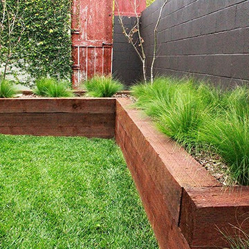 Contemporary Backyard