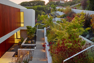This is an example of a large modern front yard garden in San Francisco with a retaining wall.