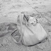Dael Jarvie's photo