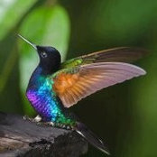 Sylvia Timmons's photo