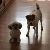 LoriAnn Austin's photo