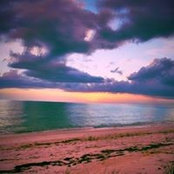 Susan Owens's photo