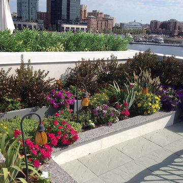 Rooftop Deck Project