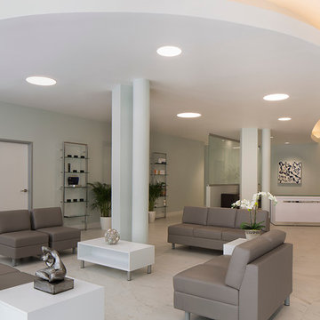 Art studio Sergey Konstantinov. SophiSticate Interiors. MedSpa in San Francisco.