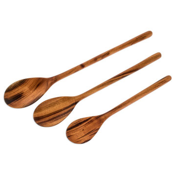 NOVICA Peten Trio And Wood Serving Spoons  (Set Of 3)