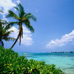 Ocean & Palm Trees Mural - Wallpaper