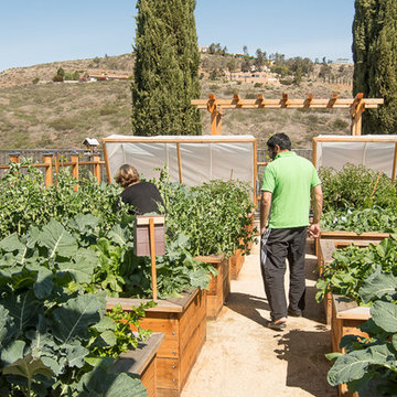 Vegetable Paradise