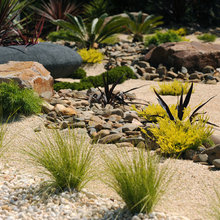 shared front yard
