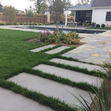 Bluestone Walkways & Tread stones