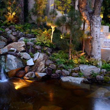 Hollywood Hills