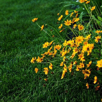 Plant Materials