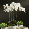 Phalaenopsis 25" Bowl Drop-In White