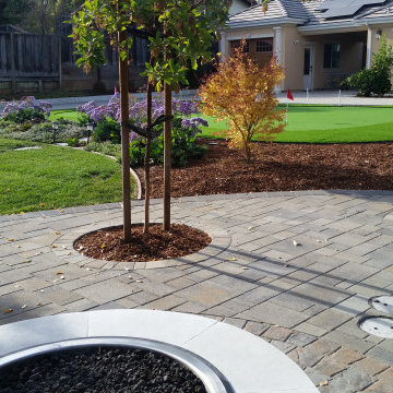 Landscape Design