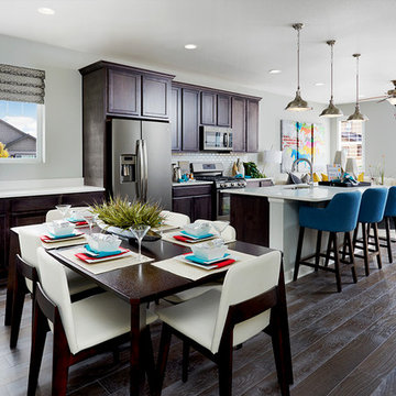Onyx model home in Colorado