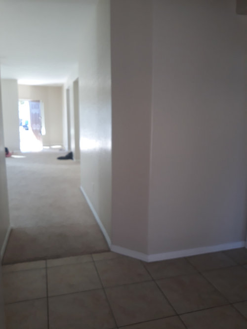 Flooring dilemma. Tile, carpet, or?