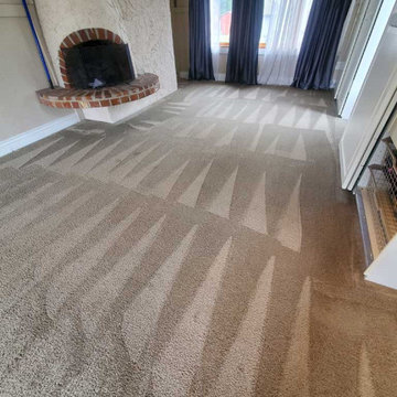 Pet Urine Removal Feces Removal and Treatment in a House Move-out Cleaning Locat
