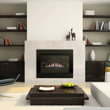 Contemporary Fireplace Insert - White Mountain Hearth