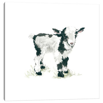 Goat by Carol Robinson Gallery-Wrapped Canvas Print 18x18x1.5