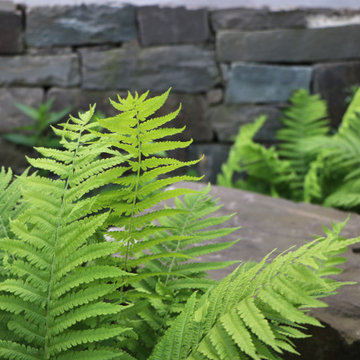 Wellnessgarten am Hang