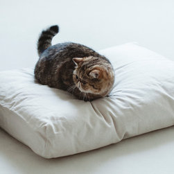 シック＆シンプルな猫用品 - 猫用ベッド
