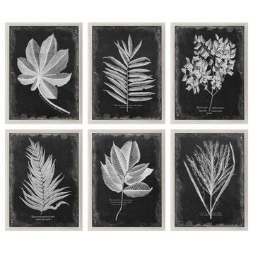 Set of 6 Black Silver Vintage Style Leaf Prints, Wall Art Group Floral Botanical