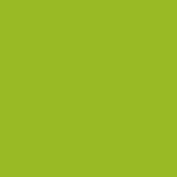 Electric Lime - Paint