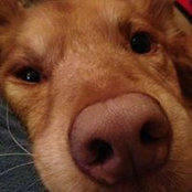 Holly Brunner's photo