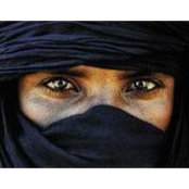 Kts DoNguyen's photo
