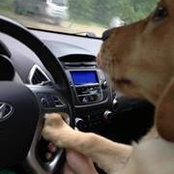 Steve Sposato's photo