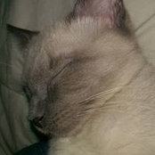 Kathy Walters Shadrix's photo